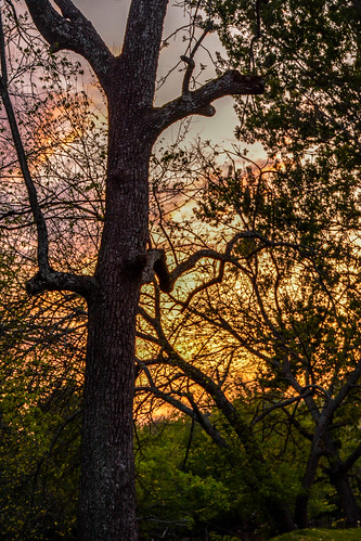 sunset kentucky campsite frankfortkentucky pamschreckcom photographerpamelaschreckengost elkhorncampground ©pamelaschreckengost