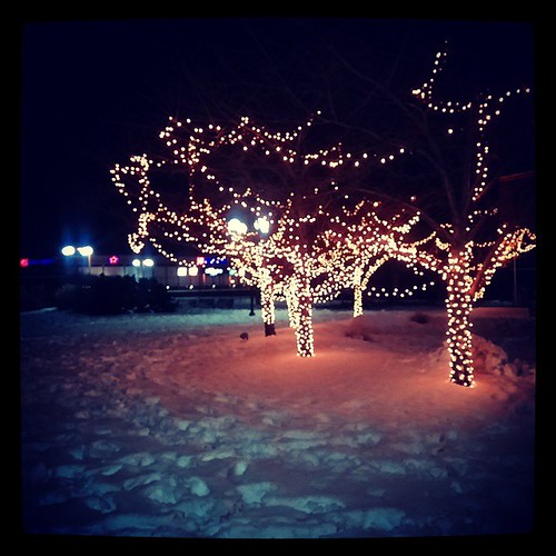A snowy Lytle Park in downtown Cincinnati...