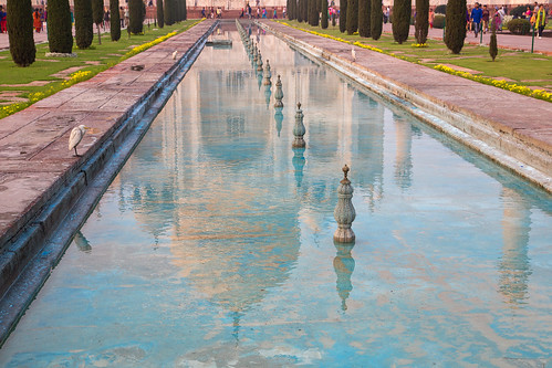 travel india reflection heron water canon tajmahal agra reflectingpool travelphotography thetajmahal