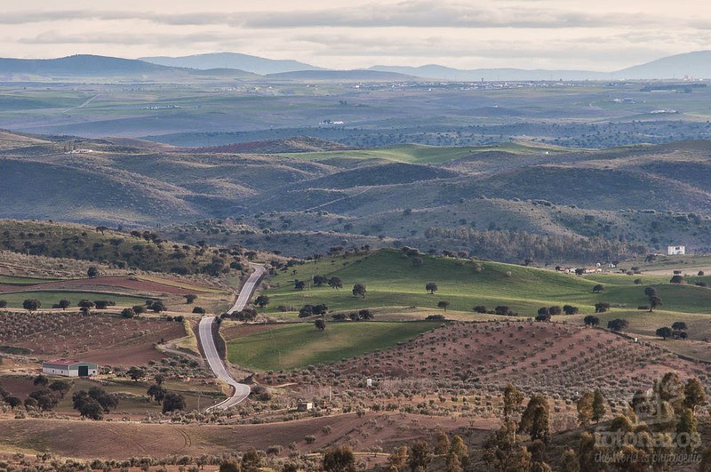 Vistas de Tierra de Barros desde la Sierra Grande de Hornachos