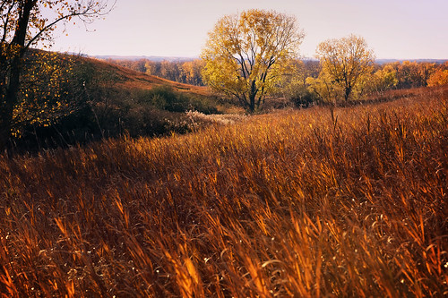 autumn fall colors fallcolors autumncolors northdakota prairie greatplains prairiegrass nikond4 nikkor247028 northerngreatplains