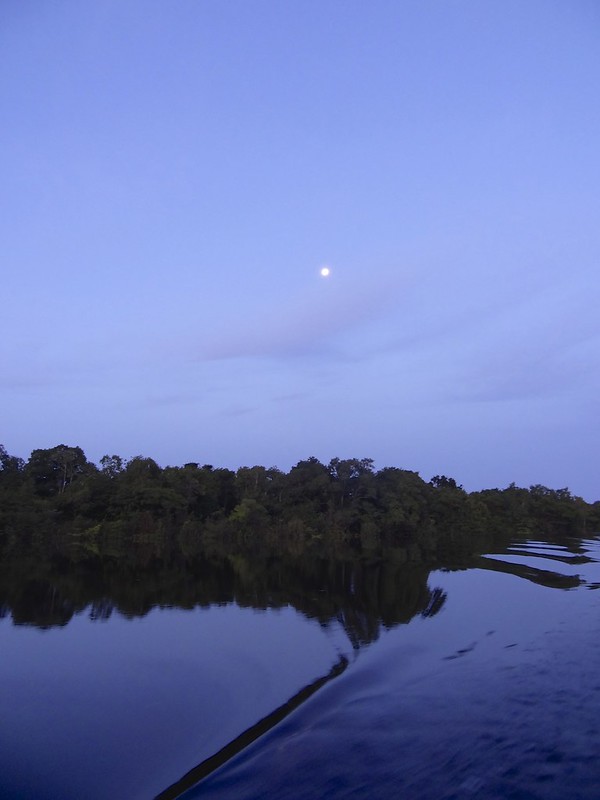 manaus-rio negro-amazon 39