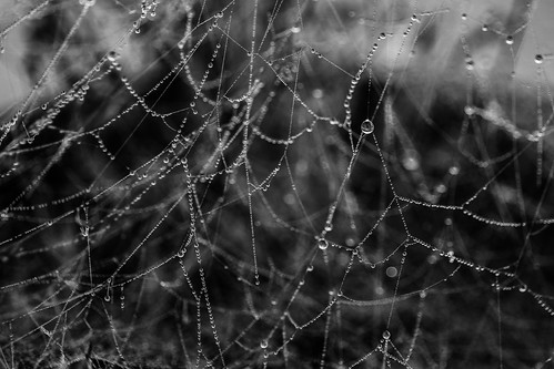 drops coruña tubes spiderweb teo gotas galicia extension iglesias nacho tubos telaraña mallos nekov01 nachoiglesias nachoiglesiascasalgmailcom