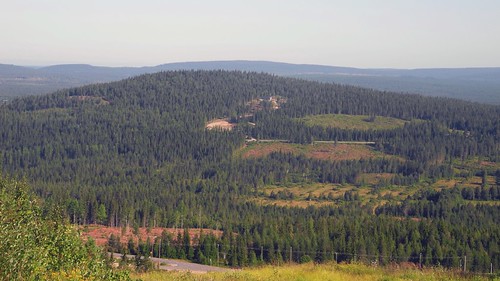 summer forest finland geotagged july op fin pudasjärvi 2014 pikkusyöte 201407 pohjoispohjanmaa 20140727 teerivaara geo:lat=6563053255 geo:lon=2769887208