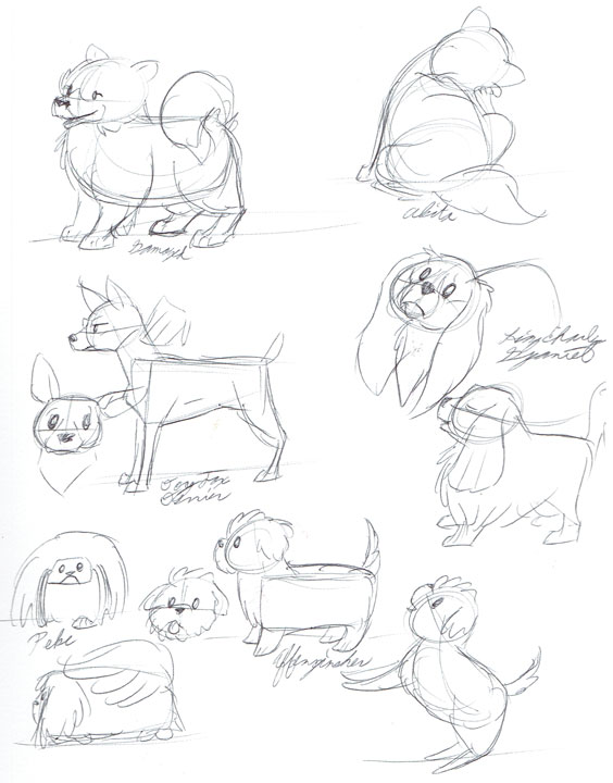 12.1.14 - National Dog Show Sketches