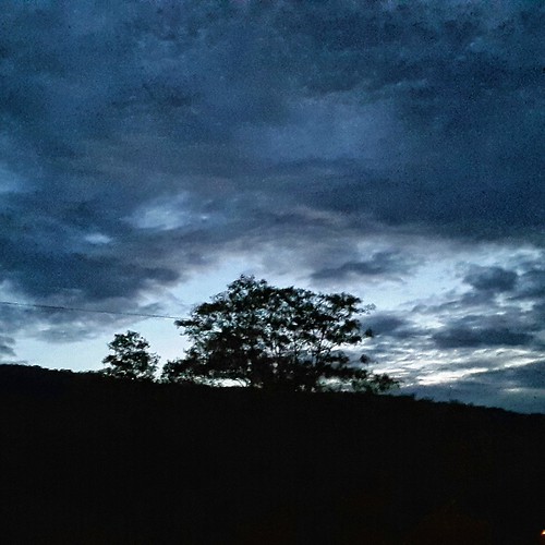 sunset shadow tree mona kingston jamaica uwi