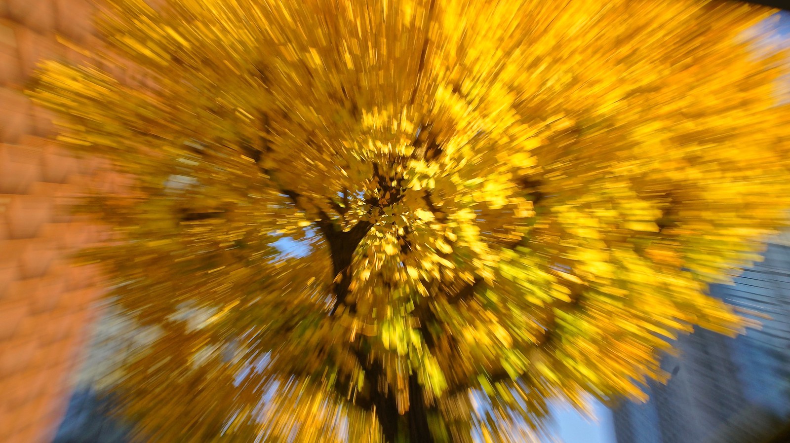 intentional camera movement for Marunouchi autumn 
