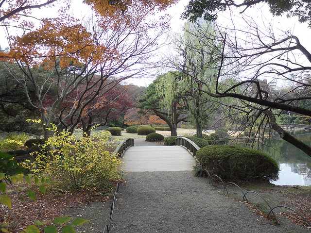 Shinjuku Gyoen Garden