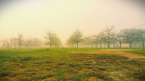 sun nature fog landscape geotagged day foggy prespa resen erdilseali