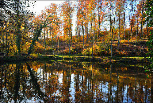 autumn trees automne landscape nikon sigma arbres paysage reflexion reflets eaux étangs greatphotographers d7100 ex1020f456dchsm