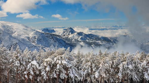 españa nieve nevada andalucia sierra cielo granada pinos montaña trevenque nubosos