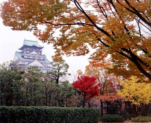 Osaka Castle Autumn