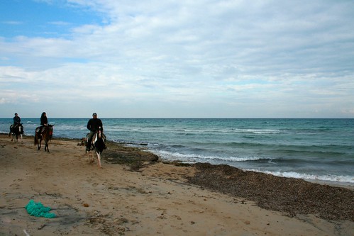 travel sea people italy horse beach canon landscape caballos mar sand south playa sur puglia sud oceano
