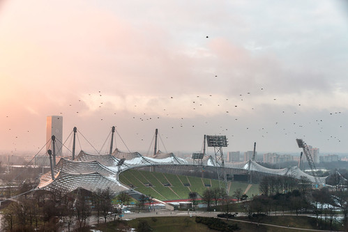 sunset birds munich münchen cityscape sonnenuntergang stadion vögel swarm flockofbirds olympiastadion vogelschwarm stadtlandschaft canoneos70d