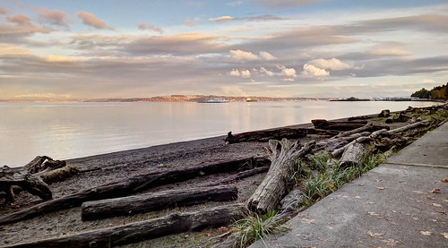 park autumn trees beach ferry clouds point washington ship waterfront cargo container driftwood tacoma hdr defiance