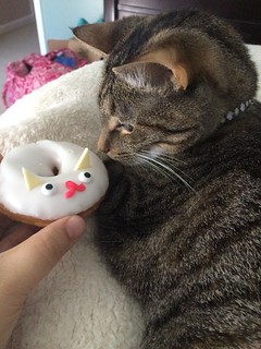 Cutie doughnut