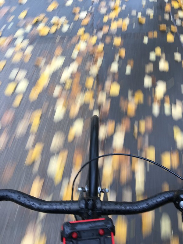 Bike paths fall