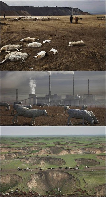 (圖：中國紀實攝影師盧廣，《被汙染的風景》系列。 因環境汙染，大批牛羊死亡，政府只好立牛羊雕像，重現昔日「風吹草低見牛羊」的美景。)