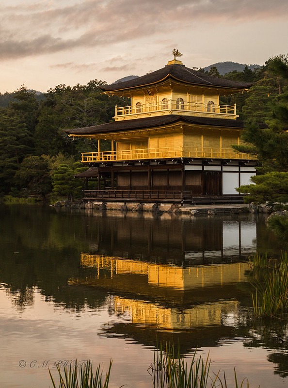 金閣寺 Temple of the Golden Pavilion, Kyoto