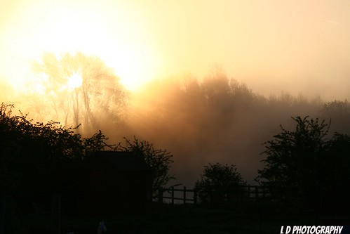 fog countrypark meltonmowbray