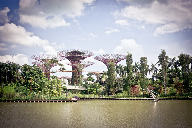 Gardens by the Bay, Singapore - trees
