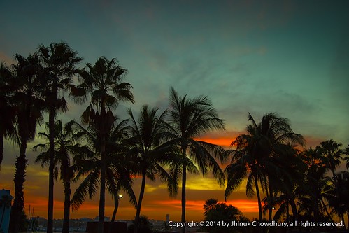 sunset sky cloud tree nature silhouette skyscape landscape evening twilight palm tropical bahamas f5 tropics cloudscape bahama