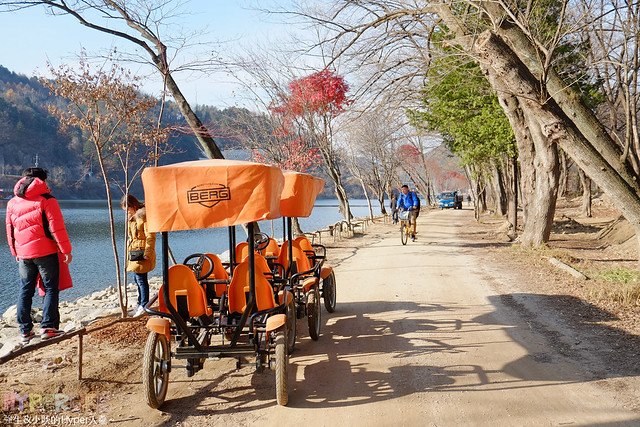 《韓國必訪景點-南怡島》地表上秋冬最美的水杉樹步道，也是韓劇拍攝景點喔~ @強生與小吠的Hyper人蔘~