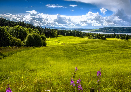 norway ringsaker valley hills hill lake sun bright blue contrast color colors colours colour clouds cloud flower green heaven landscape light mountain minolta nature outdoors outdoor panorama sony sky view wimvandem wild meadow