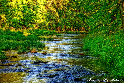 summer by creek woods indiana antonio hdr imagery gumm gumm238