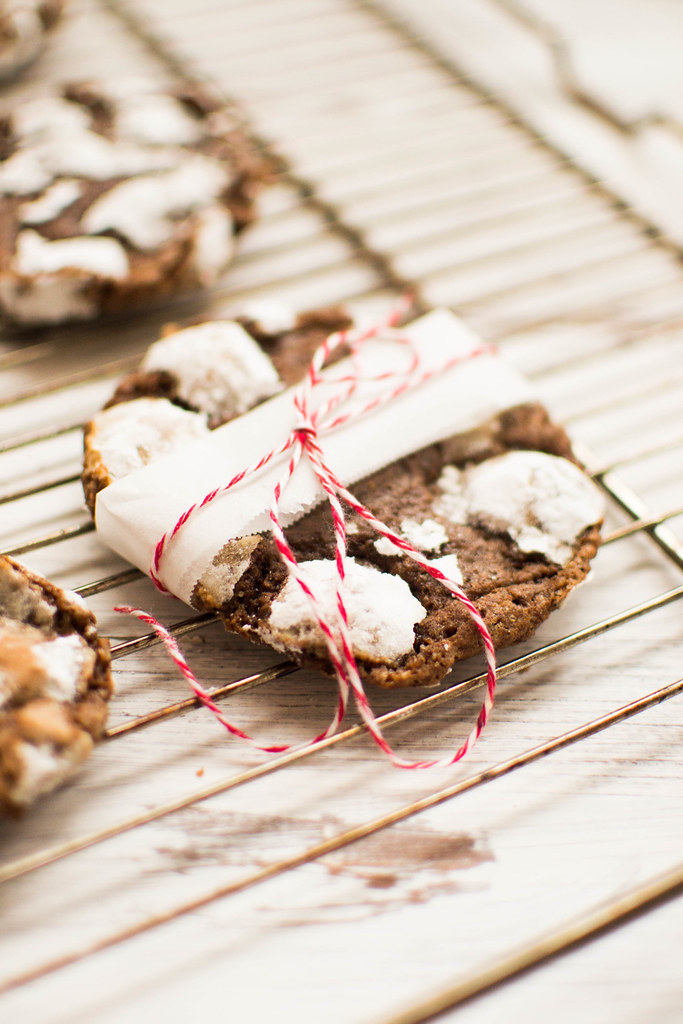 Snow Covered Chocolate Cookies