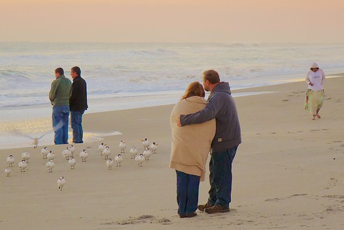 ocean friends beach birds sunrise dawn solitude florida couples solitary loner indialantic