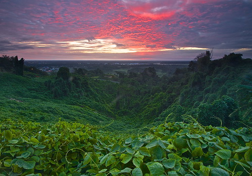 green sunrise landscape miri sarawak malaysia tropical