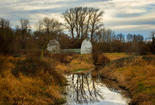 trees reflection barns nisquallynationalwildliferefuge nisquallyriverdelta brownsfarm