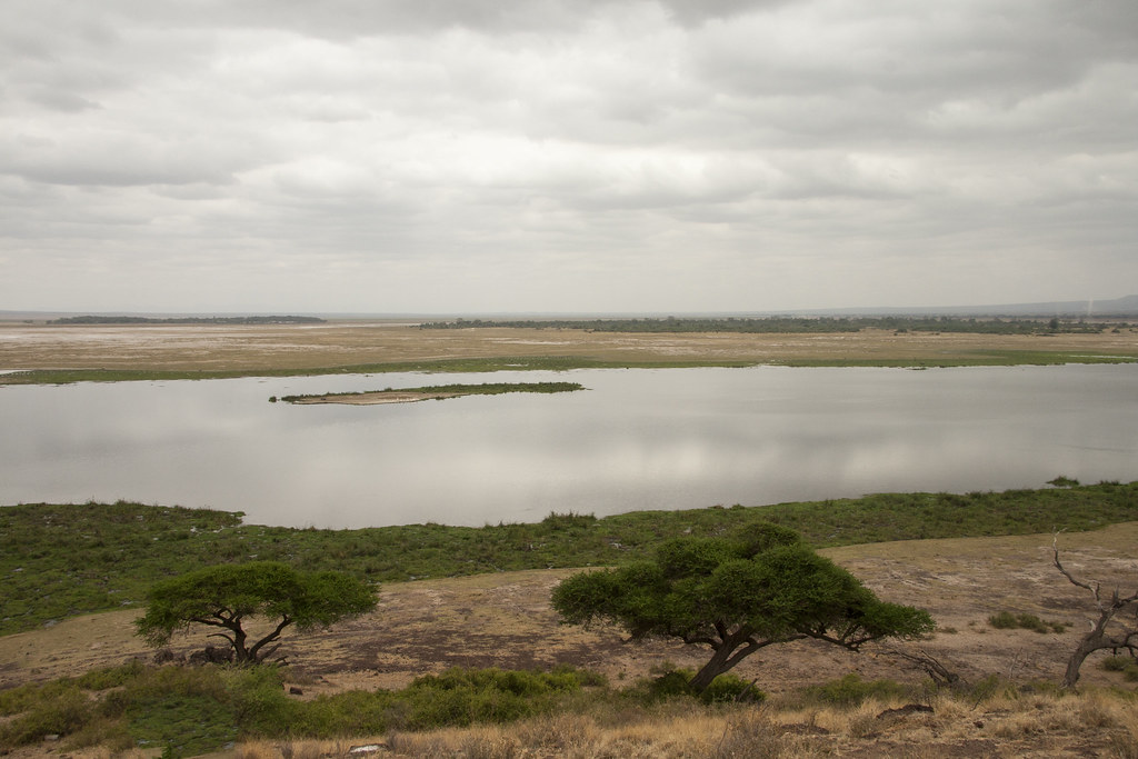AMBOSELI II - MEMORIAS DE KENIA 14 días de Safari (33)