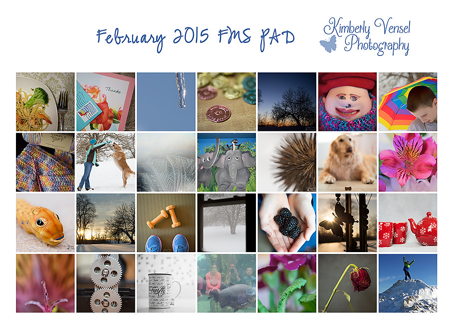 February FMS PAD collage