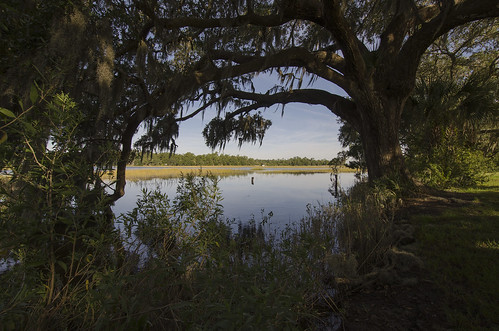 usa tree water landscape outdoors hall us oak flood south low country sightseeing tourist mount southern swamp plantation carolina destination plain boone pleasant