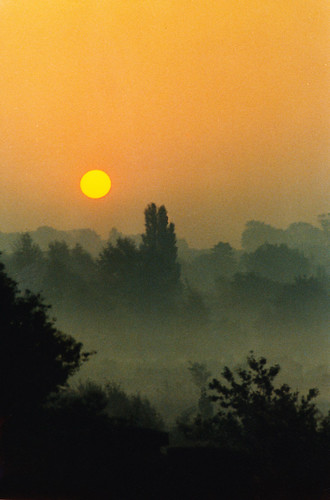 orange sunlight green misty sunrise kodak pentaxspotmatic earlmorning sigma200mm