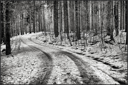 schnee winter germany deutschland bavaria nikon oberbayern verschneit wald d3 weg spaziergang stille 2470mmf28 silverefexpro2 schwaigwall captureone8