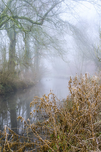 mist eye misty river landscape sony cotswolds gloucestershire upperslaughter rivermist a6000