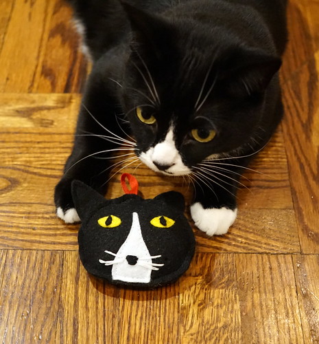 Panda With Cookie Custom Cat Ornament