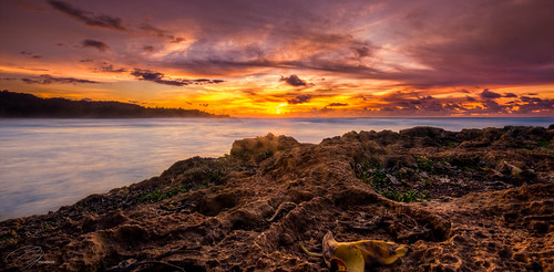 lighting longexposure light sunset orange plants water landscape hawaii bay flora rocks shadows purple oahu turtle fineart wideangle hdr waterscape