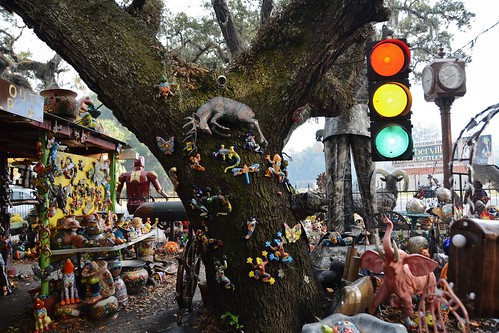tree florida stoplight pinkelephant barberville thursdaywalk utata:project=tw451