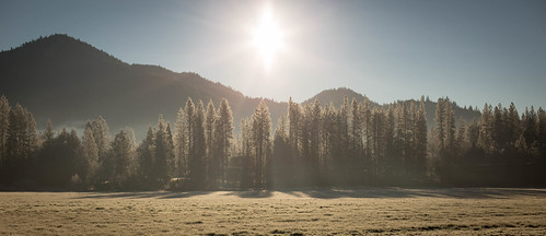 morning trees light oregon frost rogueriver