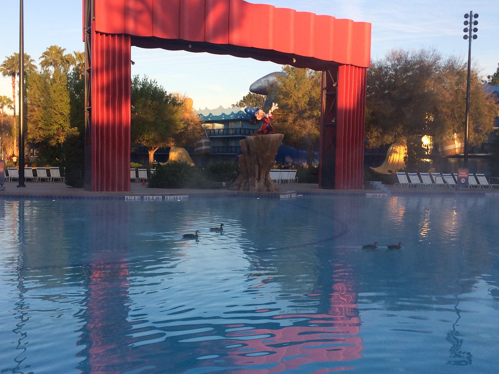 Disney Value Resort Pool