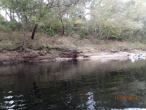 river suwannee