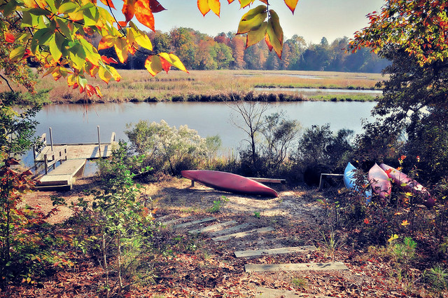 Chippokes State Park canoe launch in the Fall