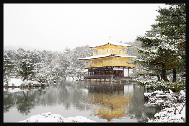 日本京都-金閣寺-雪.47