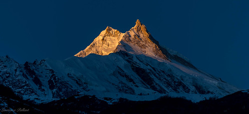nepal manaslutrek samagaon samagaun goldenhour sunrise mountain snow sunllight himalaya