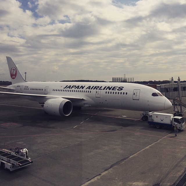 JAL, at Narita, Japan