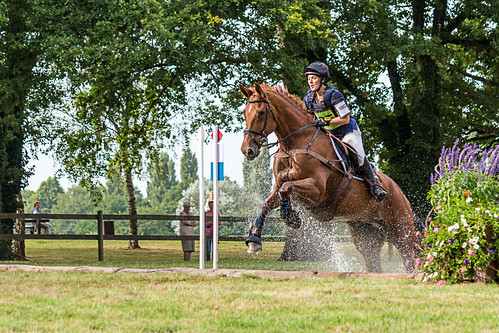 france sport paysdelaloire châteaubriant concoursequestre cheval animaux chã¢teaubriant fr